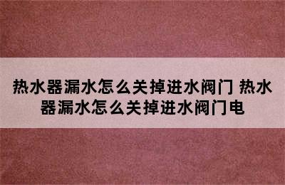 热水器漏水怎么关掉进水阀门 热水器漏水怎么关掉进水阀门电